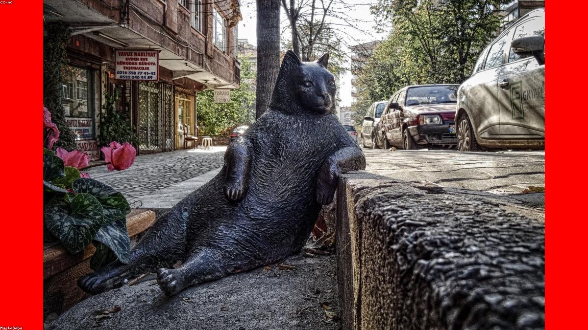 Opposition Alliance Launches Joint Manifesto Ahead of Winter Session