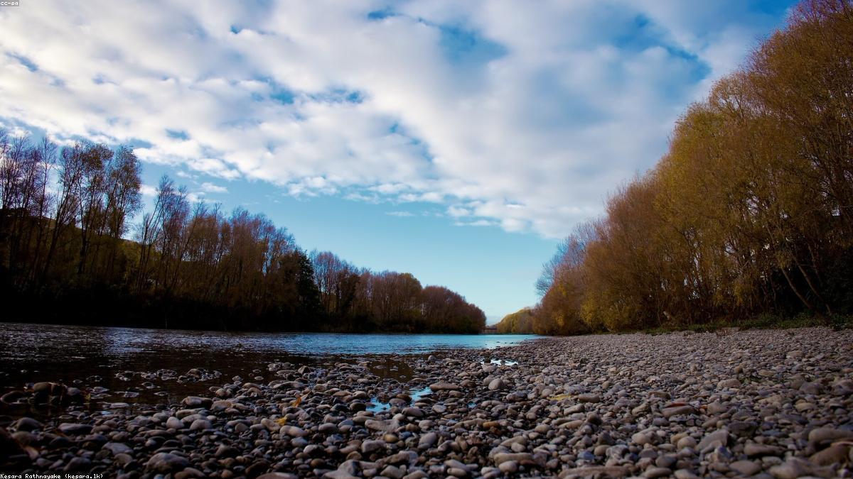 Ganga River Cleanup Shows Measurable Success After Decade of Efforts
