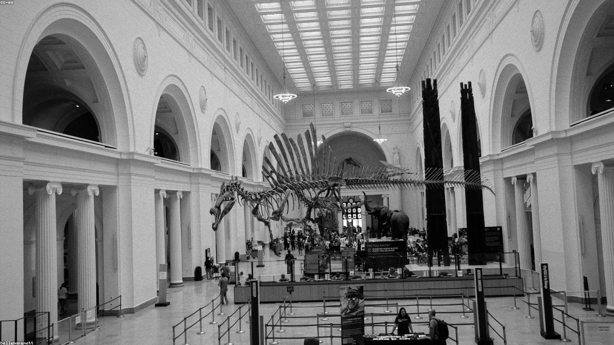 Indian Researchers Discover New Dinosaur Species in Gujarat