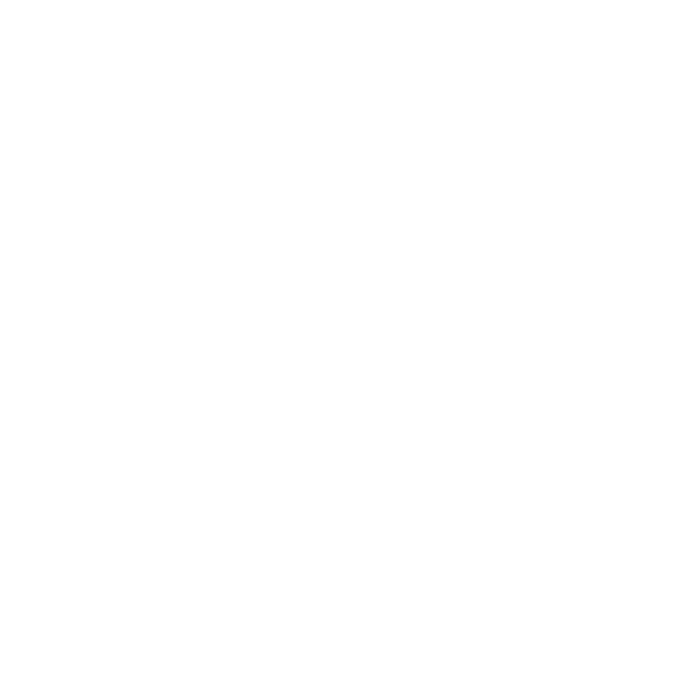 The Guardian Chronicle