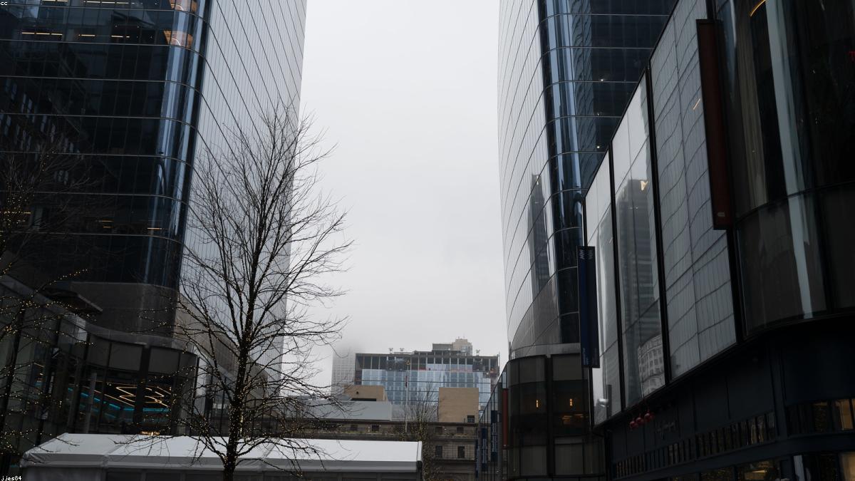 RBI Cuts Rates by 25 Basis Points, Signals More Easing Ahead